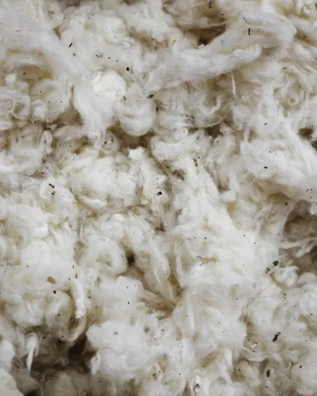 foto ilustrativa de Fibras Têxteis