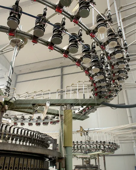 foto ilustrativa de Formação Do Tecido